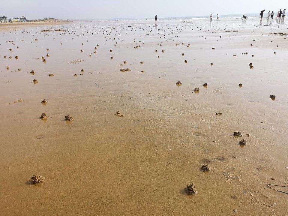 ILLk7ha8WaYaKrTrl0VI0B_mLVfslHnnINqX7djy644ZaEKx4RJohN1mrOUgVBhV