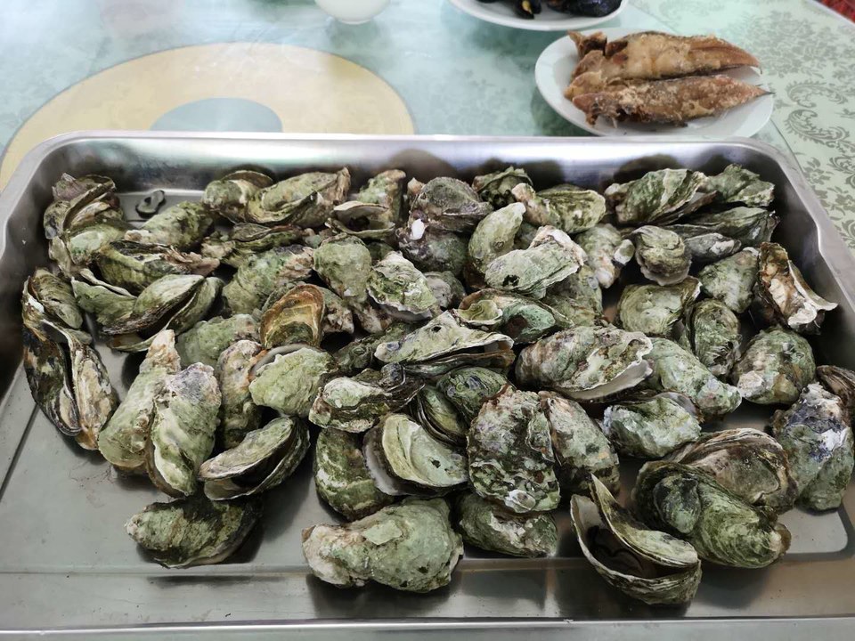 i2Aqw9a-j5se7fvPxDEBbR8F4RMpOSnRFZalToEvoN36bW8GrSvYqIo6jM5IHEyN