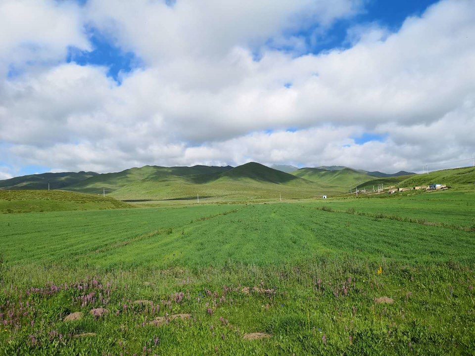 lpQkn3ktmt731gsJvn055NfyivCGHGkXQLqmNOkUrL0S8nJcHZhqzcgWwo2A4Qds