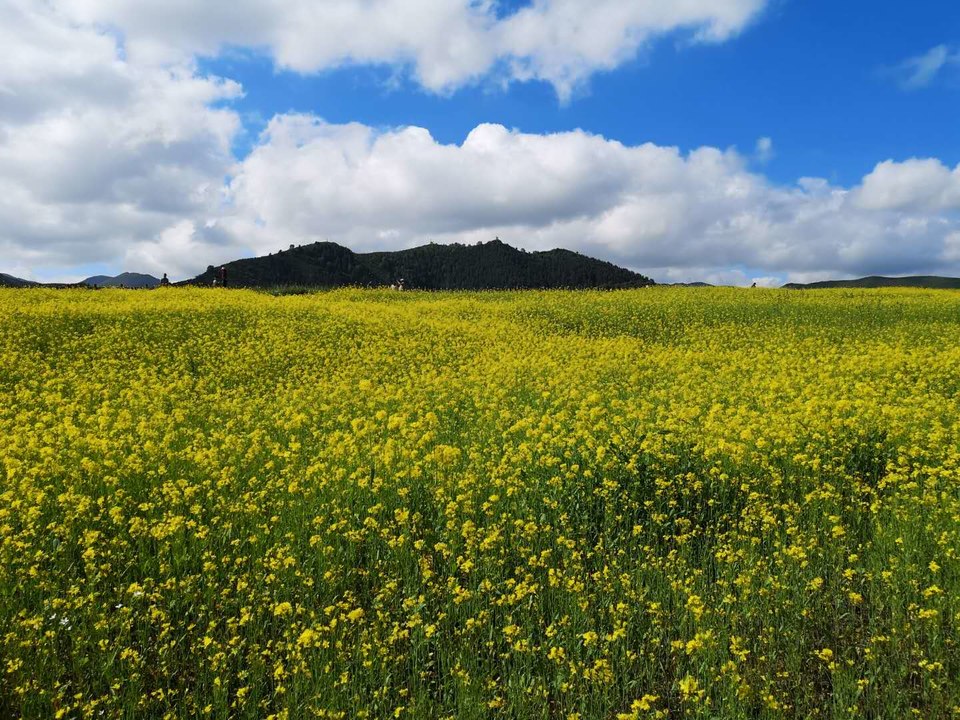 ppbimNTouSyix61h5f6jR5II9snXgIgkvZD2FVafiMmvfjrdiNFwiqx0mr8QrH_d