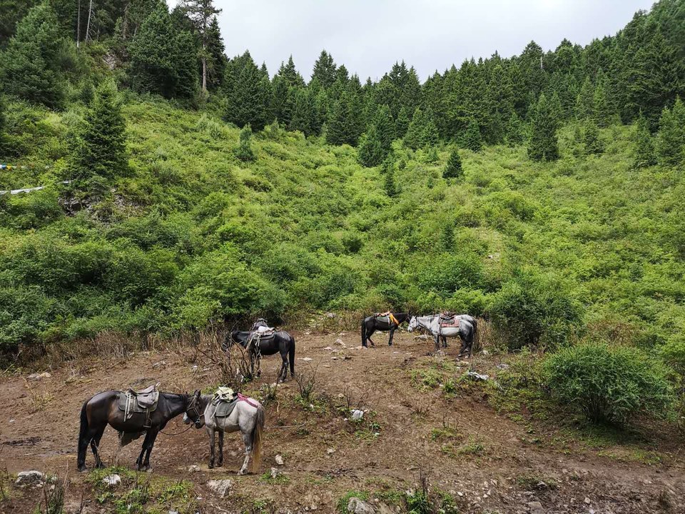 NagpORfiasZ_O0ELocRX9zFLx76zwLHQdSHCMYe6-e8cHmq_k8dcrStqFZTwR2_x