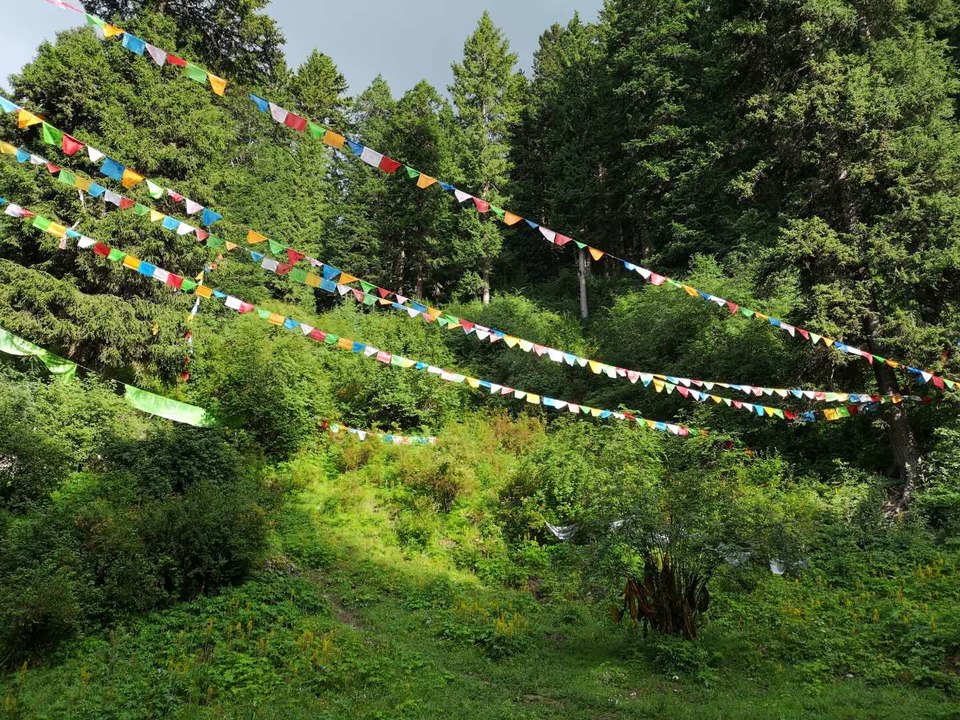 wfallGW5-YCHmcbuWPiqLyia5dFnaWlSOu8vNXFc2obJhvZR0QEpgWfTm6WUWSD_