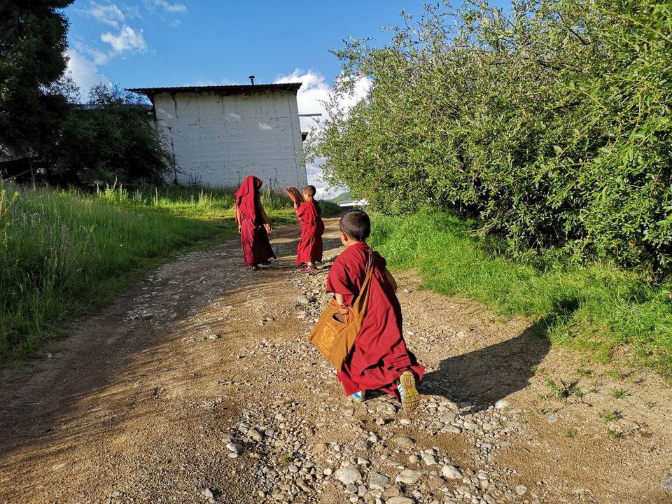 V03122-AfkL2j8f_pK8bp5K6-NkF6sf-WDUMYN8JFbUzRCtNMYR6iplg6CwYJ5mx