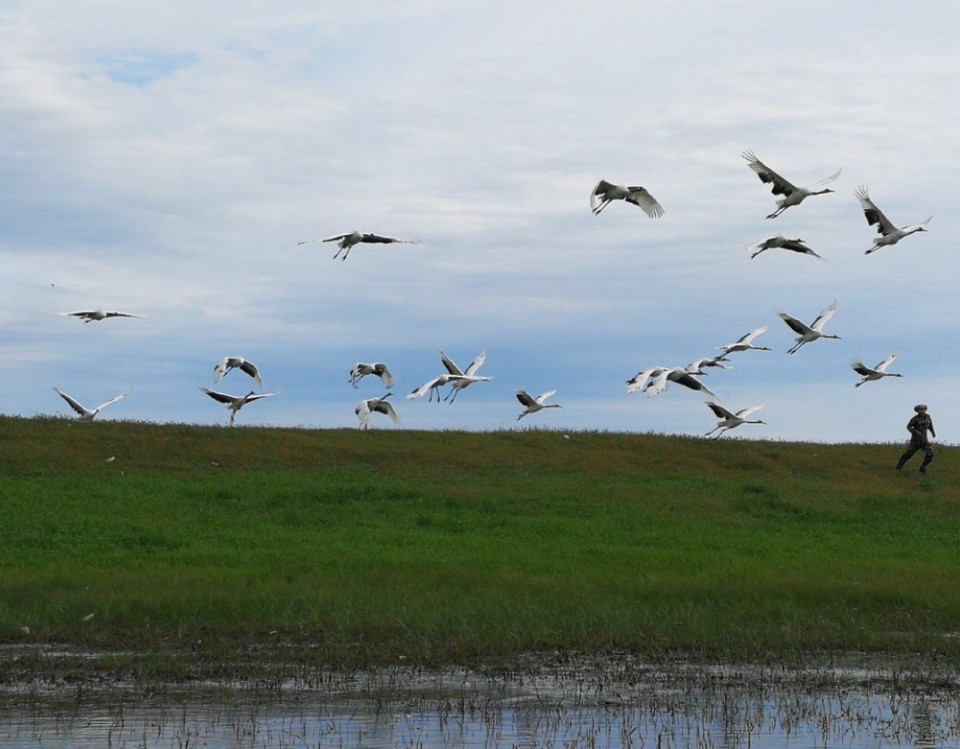 mmexport1534475984733 - 副本