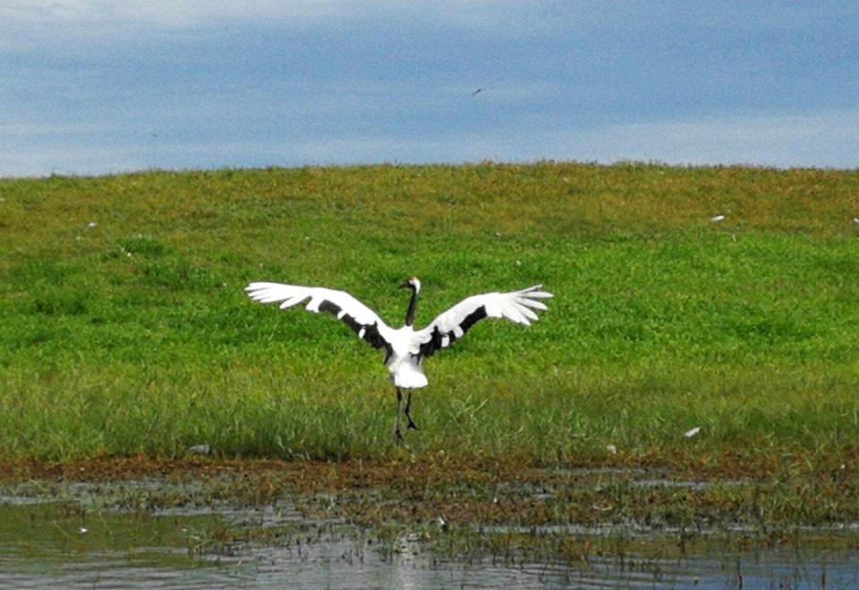 mmexport1534475995768 - 副本