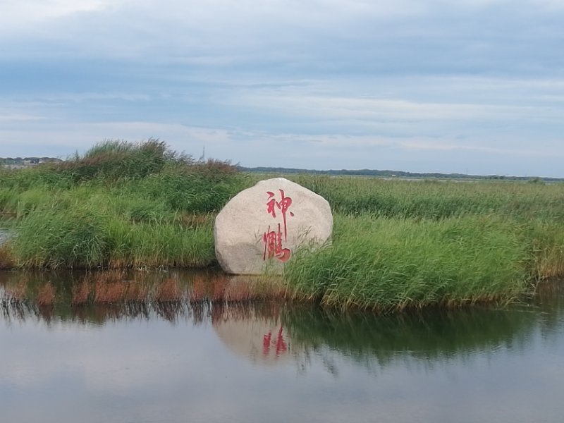 mmexport1534476008001 - 副本