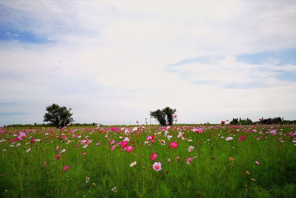 mmexport1534477041906 - 副本