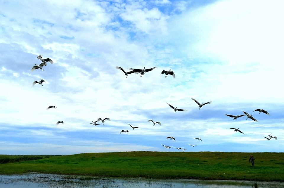 mmexport1534477052523 - 副本