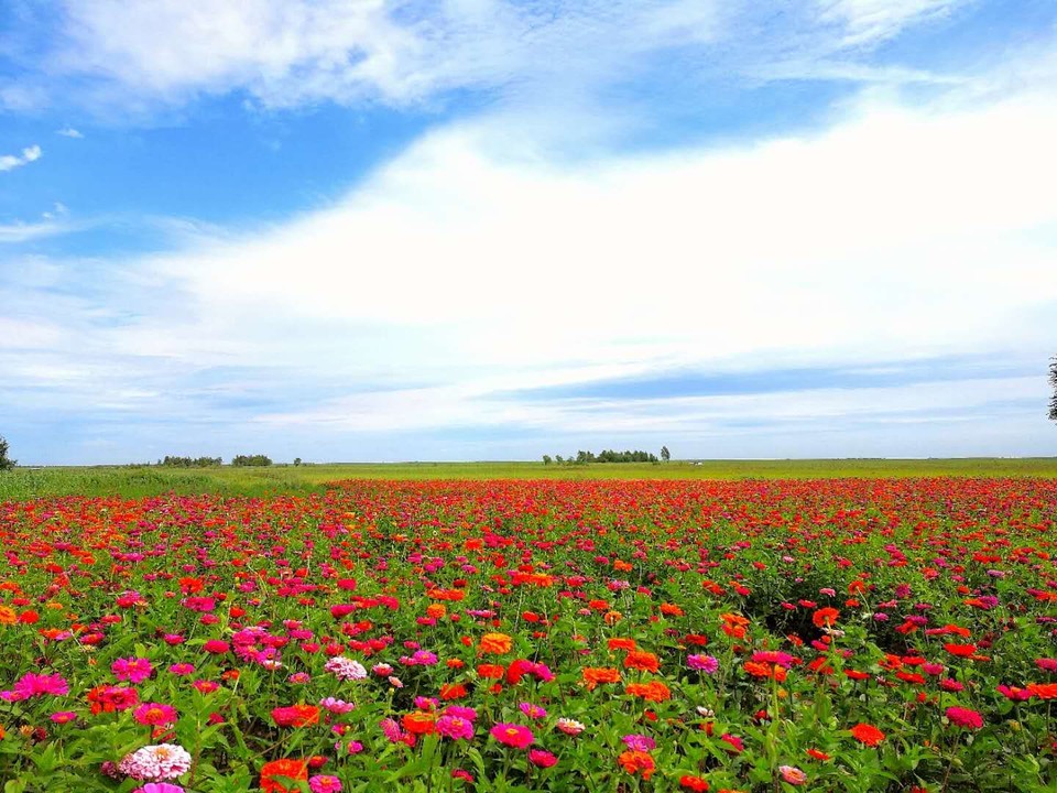 mmexport1534477079171 - 副本