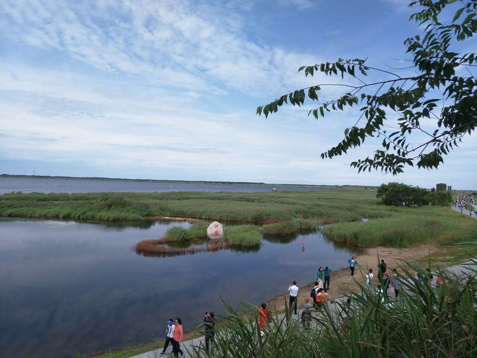 mmexport1534479501595 - 副本