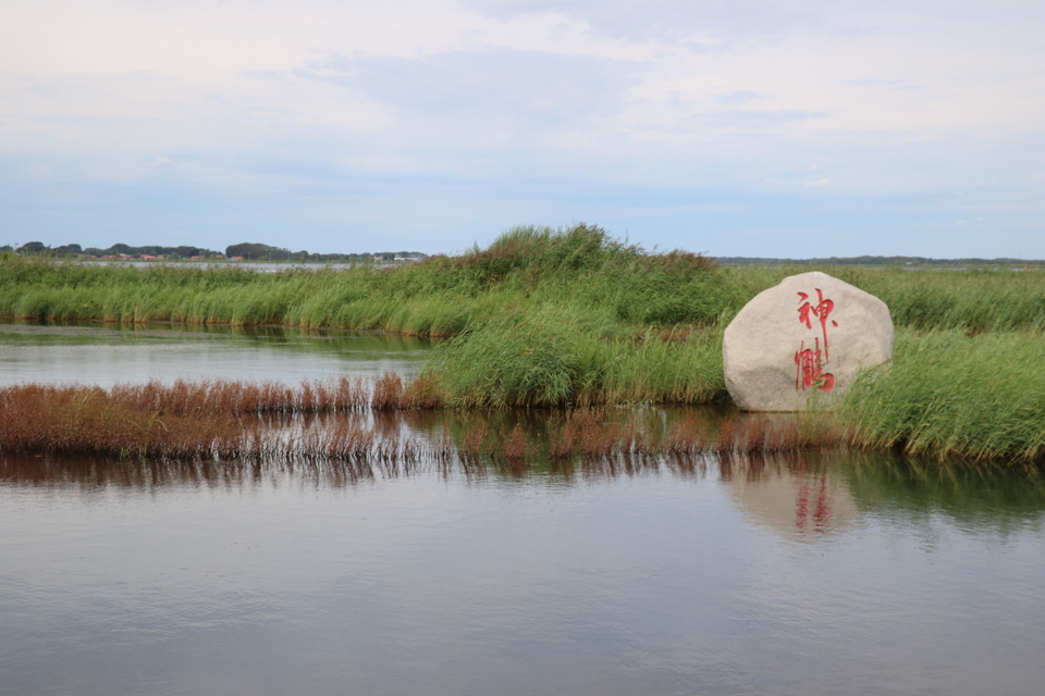 mmexport1534512619989