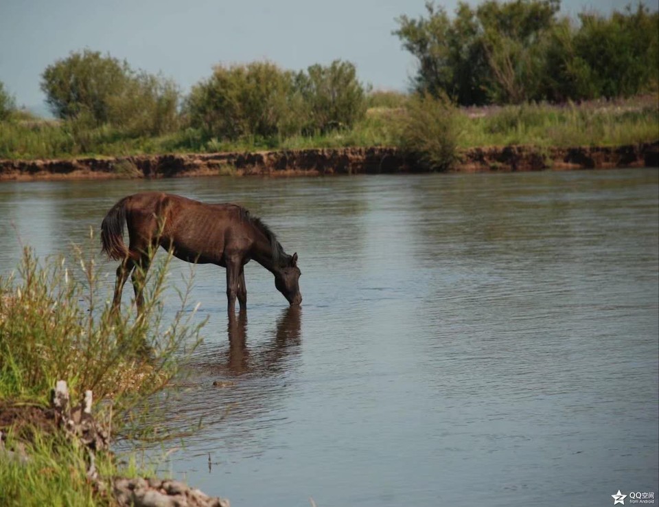 mmexport1534551782468