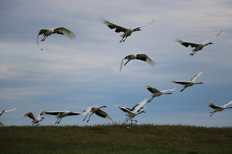 mmexport1534512637376