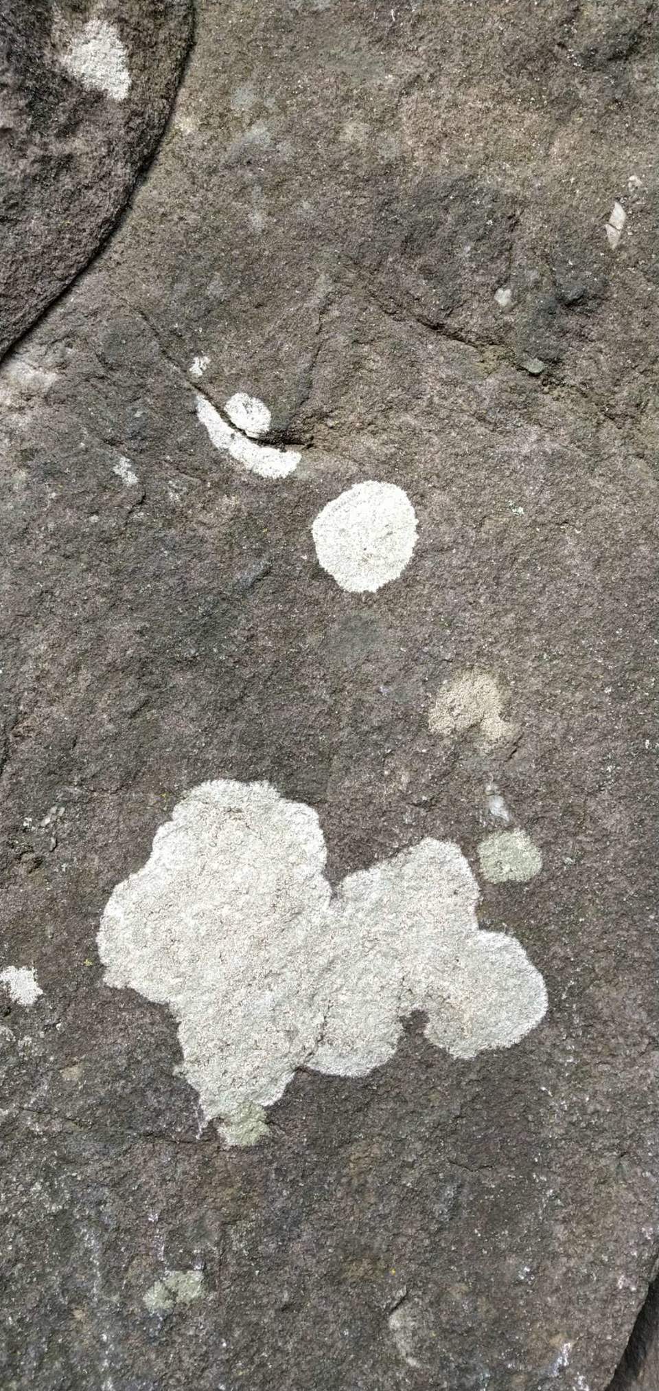 5f-_krrUUidnBNV6Y0nfSKY9ggpnjNF_kymIXyGNIA9EHexE7aMDJmMyeEfduzs6