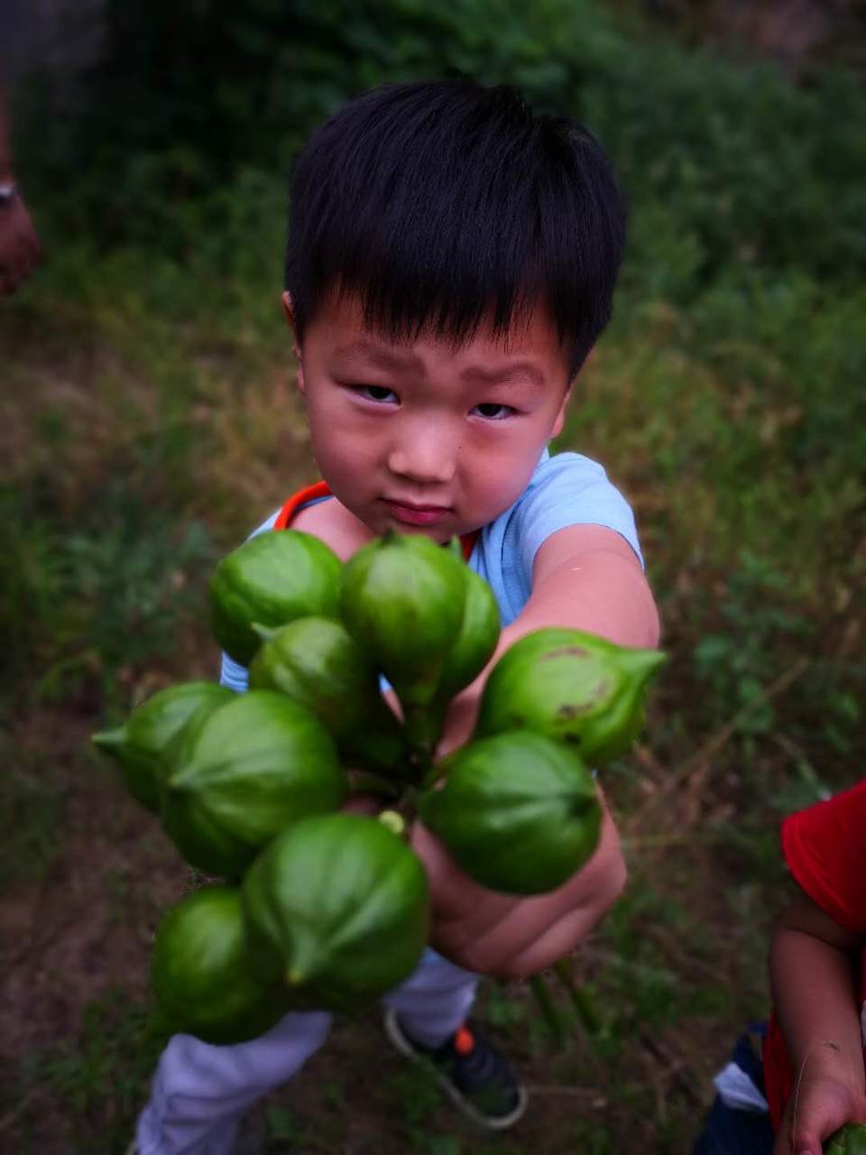 4PcojBnCC_55INs4PHOjzKlEEnLMBniFI7L1MdEmQRC6QnhPxxY2rsvnM9POer9N