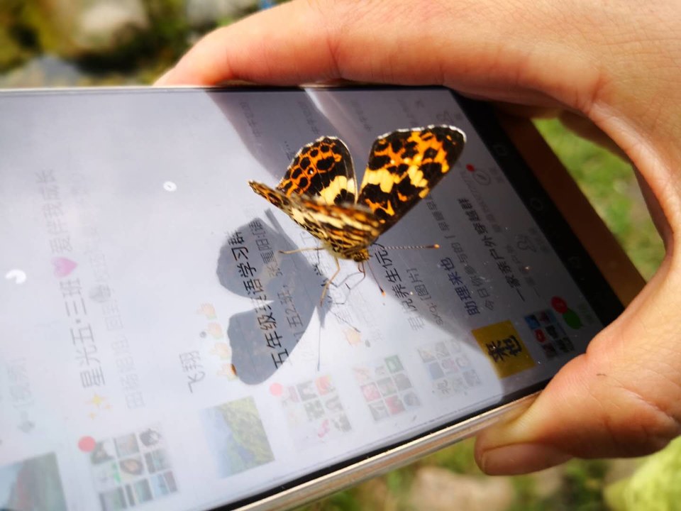 dERBiYNmxoR9QVjInhdQ6GotFmGfsH8s-MFjcbZ-uzlWPilHhMsgam9F6KWyoviA