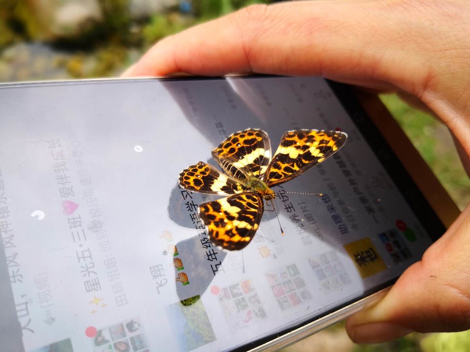 VLimIh5ml9XOVa4EFjnoWKj25KObjuZSkuZU4Fe7FGRQjh1MM4ROQU7iwMjA-_mn