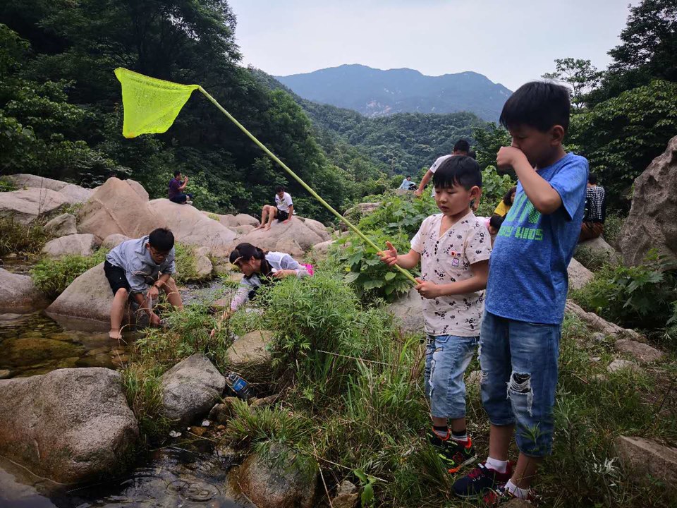 7ZUGpckU0ENTXVjaaT3zbg_-hOJuQWMLiapsyf2qcuGI7Z3Yf4EQK76_PFAkid2Z