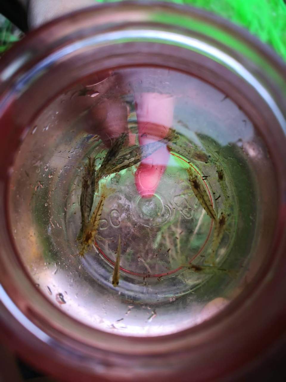 BQLagf7NttE3t7bkNHBeAHsghaqIRlJuKwiq1BdU1uoaA5mzUo5wUwgu04L76WZ-