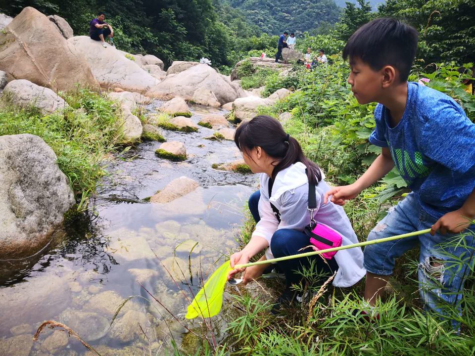 29jVYqvg-tQpiIbTAJIuSSWuEYtYq176McH0wZKGiteobBiLbKSFRW-GcGXNC68H