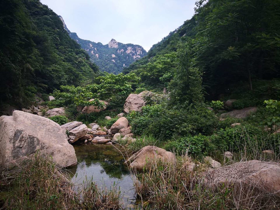 B1GBSX-F_NUm5MU_n8UQOBeCdh42pUoBGJUIImXVSILqMjwoxU8-tcscxxkGR6KV