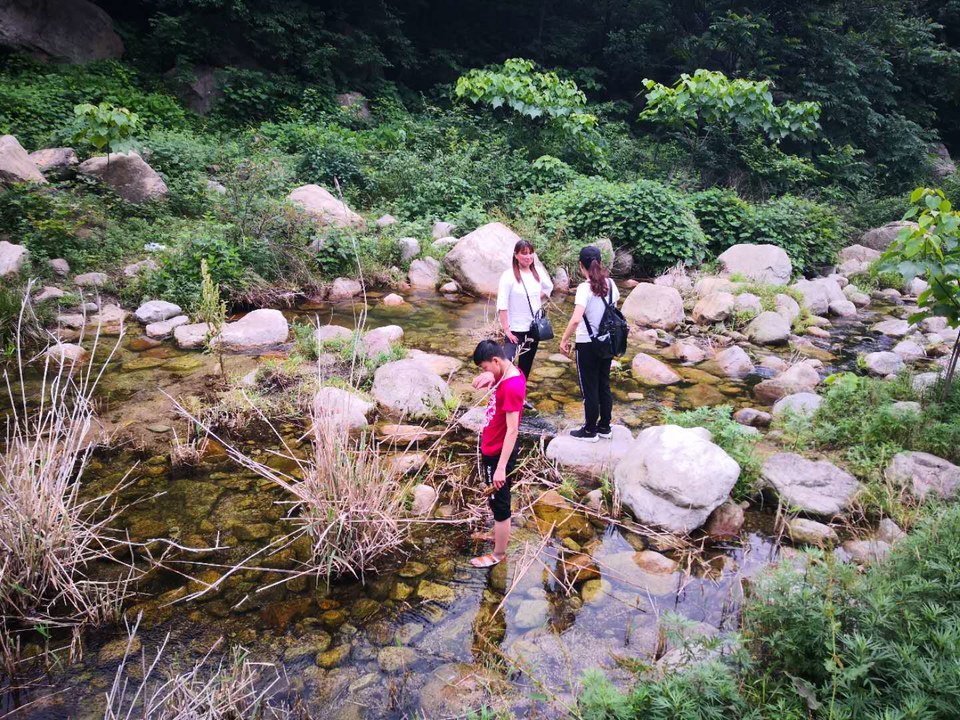 DmwIpPlTZGFBTPuTBOqf7RIuIb4YxUf_C_tcYhEsj6BdVbmrc7tfDUe5ZkxtkZC4