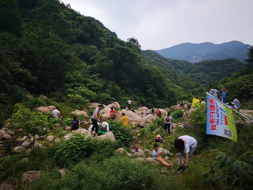 mpZiP-KfVb5RHNCrcHwmFVH4VlKb5IuWKZc0ugFbVJ_LgPJnYFM479DvYgSd9HMF