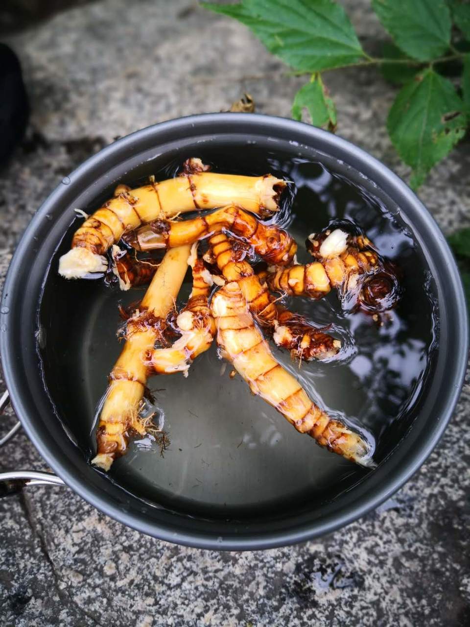 yhSwu5A25Ik2KL9Ndw-cv5vPP8A9ZLisY3tdEoduanniNJFvMEKB9tdamrpXEArz