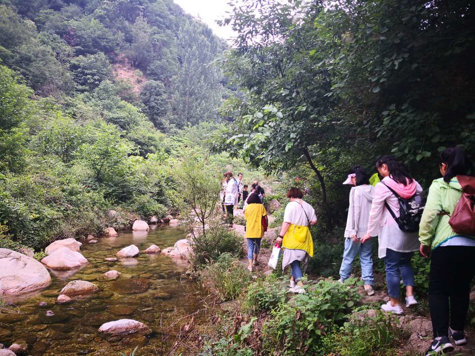 sWgoCYVfR0L8J5CR4iPpZt_g6LQZGpWrkqZ_dpcf2dMQCNchS_0838i5pDvb-VrV