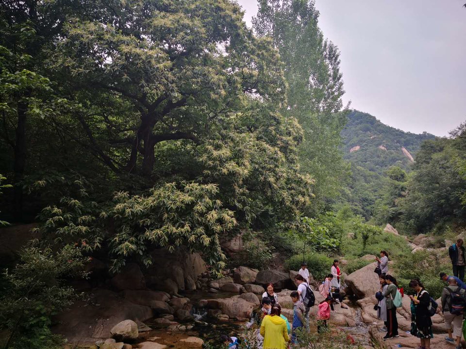 GSjG14PNoBoAo3cvj-cgAqI5XtHKIF63x92aJLwgVuxeoCOmHcw0D4uC0mfYMnNc