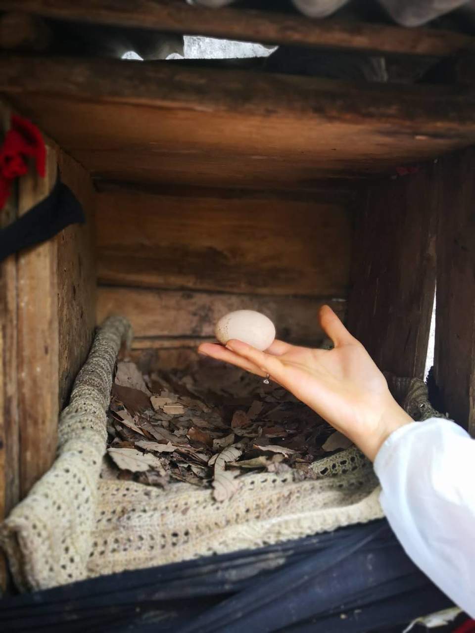 -qxamlPwMUvSgTeZYP1hFwUu2wCkHyi4zKcLpIAJEOUBOyhDm7S4htTF80sKuOD7