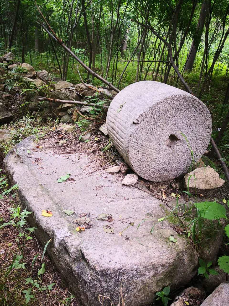 aEUQL3J8SGOtDip5b6wGDFYQ-uTqvMPWuTdMwa2_gtzSfG57O0WU6QG-Bm84LF1K