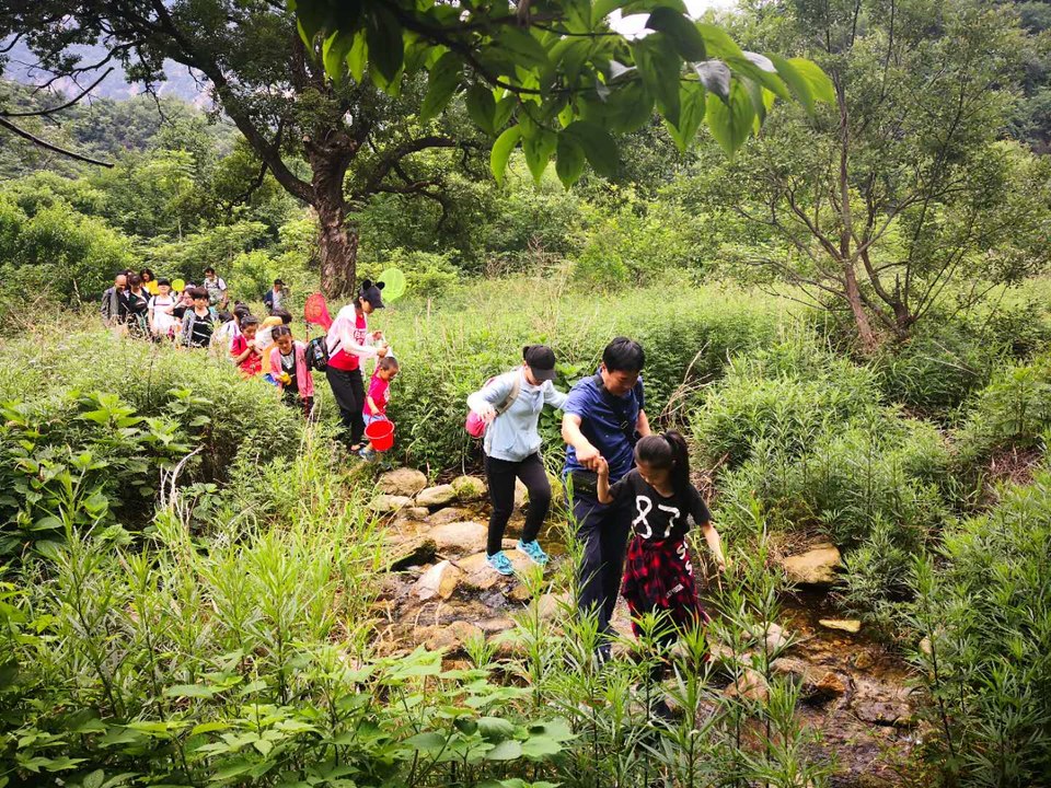 vzMHFnPAeQYZmjG_6cEgrqh7_FmcKtzNUT04xMjl_SVjWlbShSVjtLncaGCeSUYT