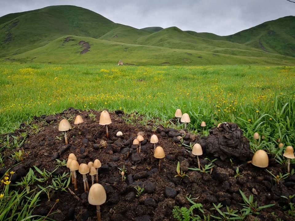 nwrgT9aZqbvoccTUspLFTIED8mE57GVEXuMdjCqZ3JmQXhPzpkZW7tqzmqyJRaVp