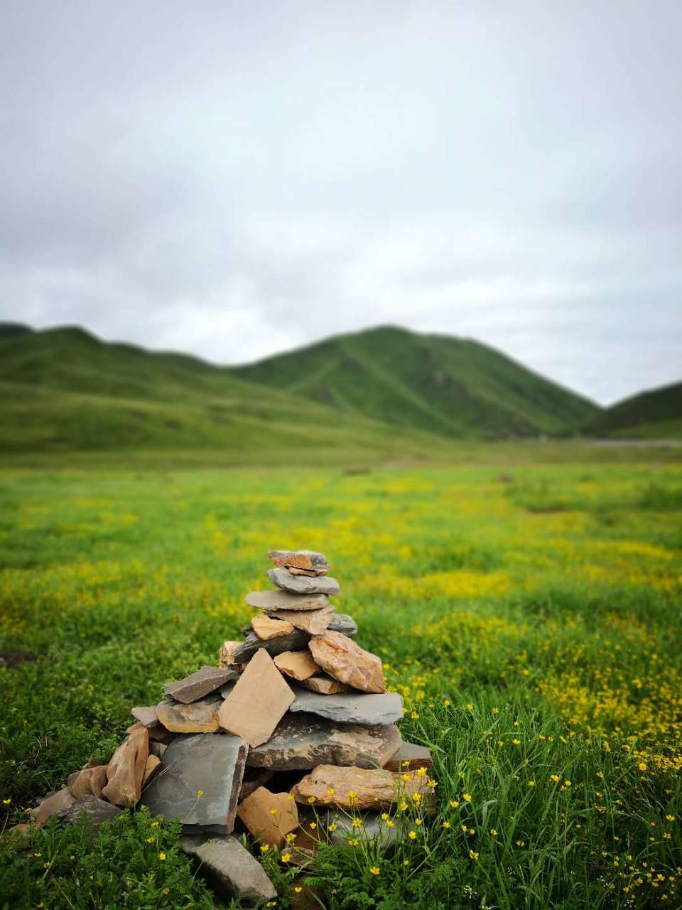 MwiT9ZmMKm849I0MBTxlhMeQHcj0oLd_uv1RiuJnV8oaoEuiT7ah52OlAu5MJNyU