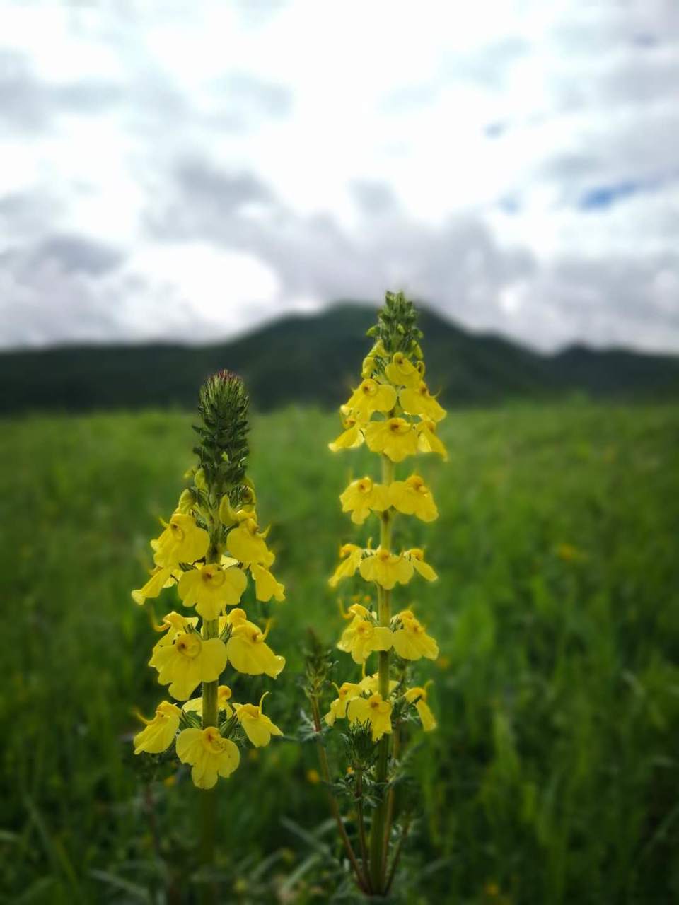 Y2UESaAkAnqADuGQD6phlIFgFEW13eT8duSKtaK7RQ1RfKa9LV_4DBWuKLbHEs0u