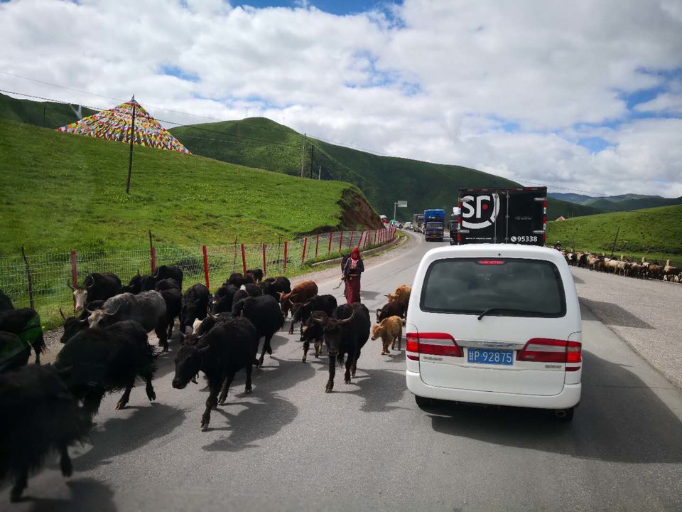 tPHsIaq0C6yTbYdxebzo11s6Za_CCpzjBPBmlv-qT2v7y4M_exUBH_rK-DgzMd4i