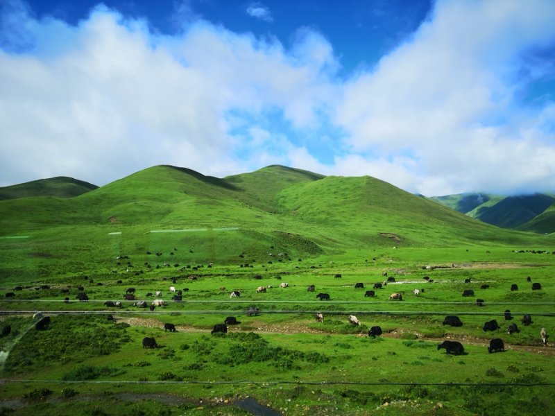 Ke43BhHdeCf_jeIIz9lx5BKg1FYJYRSc6ZIBl-wWw9yA4iRGkHoNWoMEsWlHmVqC