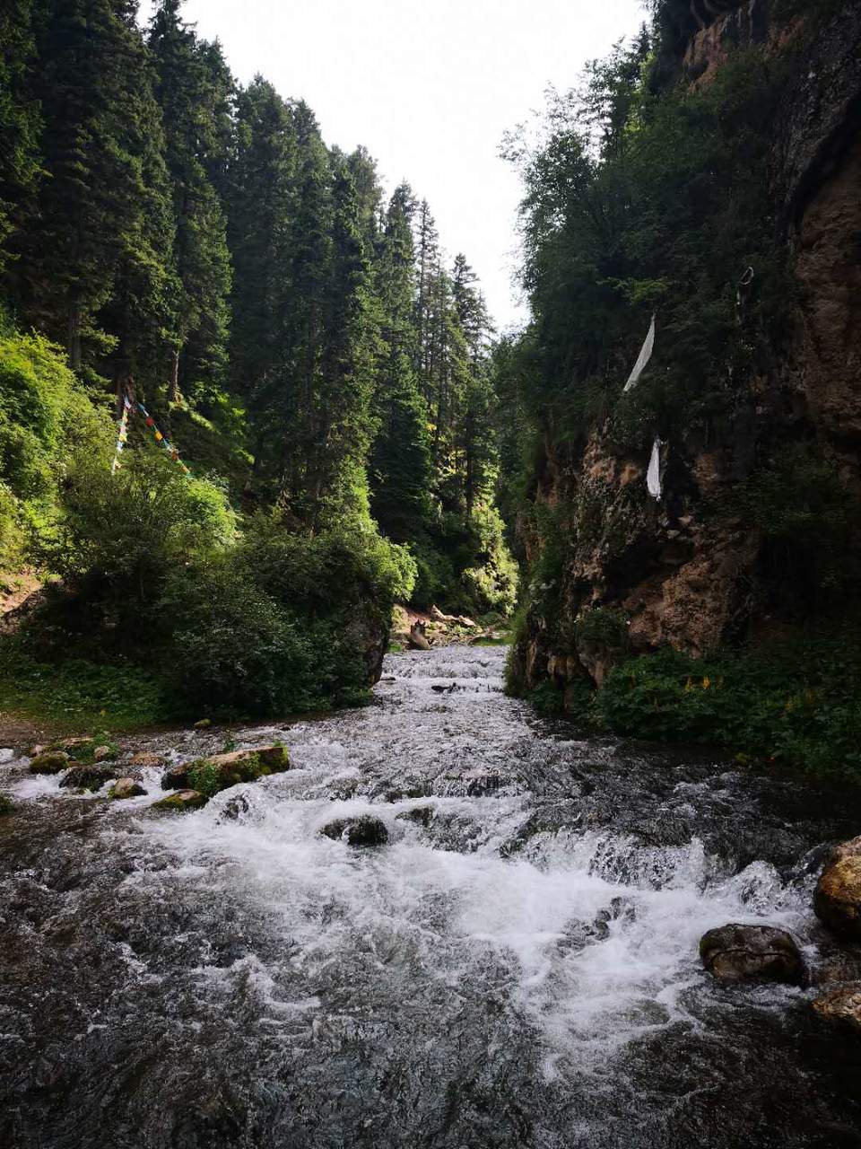 btcJKFkW1imRckdGjGlq1mUAhp44eWN-CZqApXazqOG5LC0sJsEf15-G_EccjQiJ