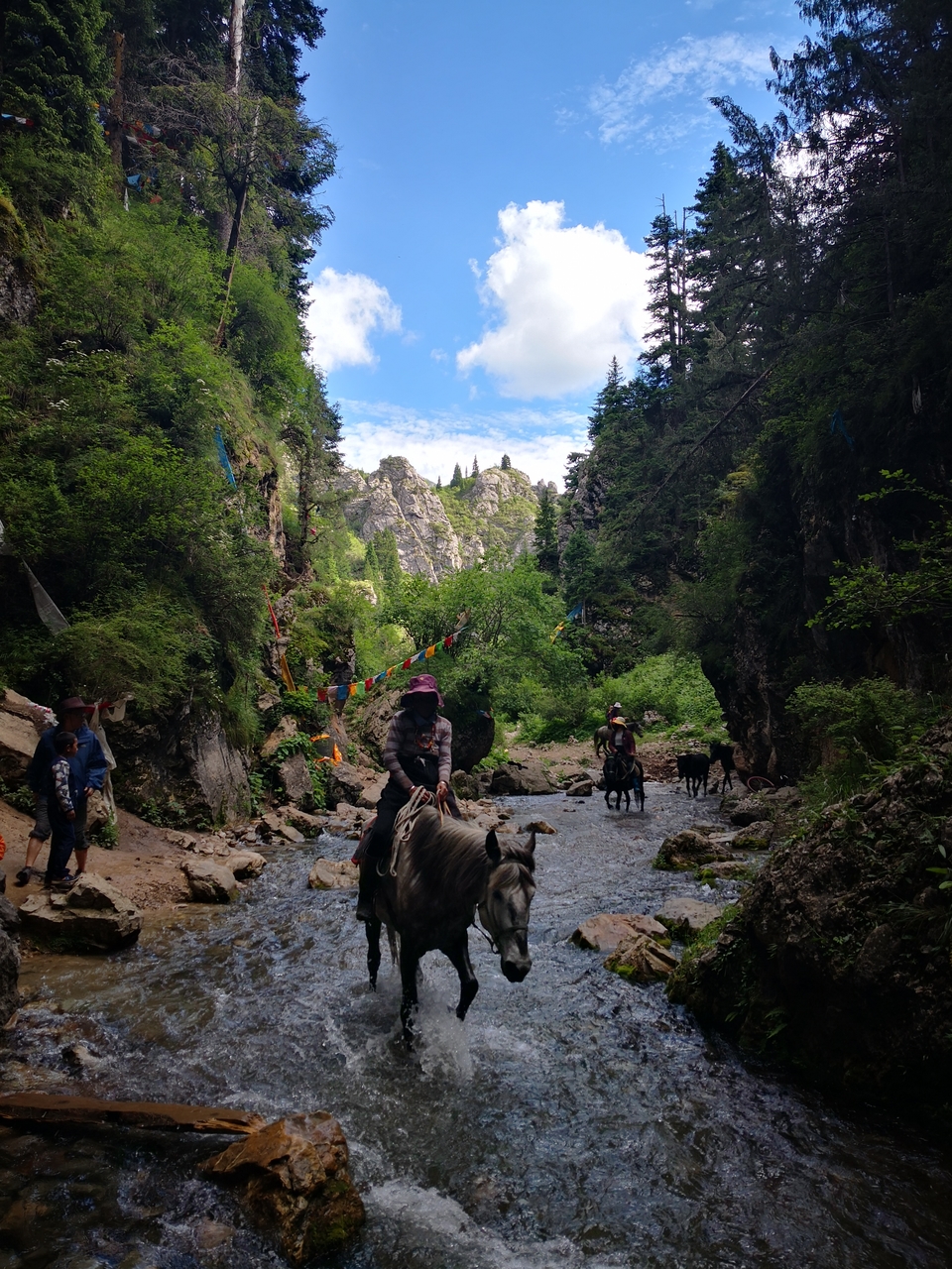 pJQEcNp-RAepkh8qANMFIN0-Jmz1lajjMPoII_nPwO9Hw3tzaqS5iclF-DhF0YWw