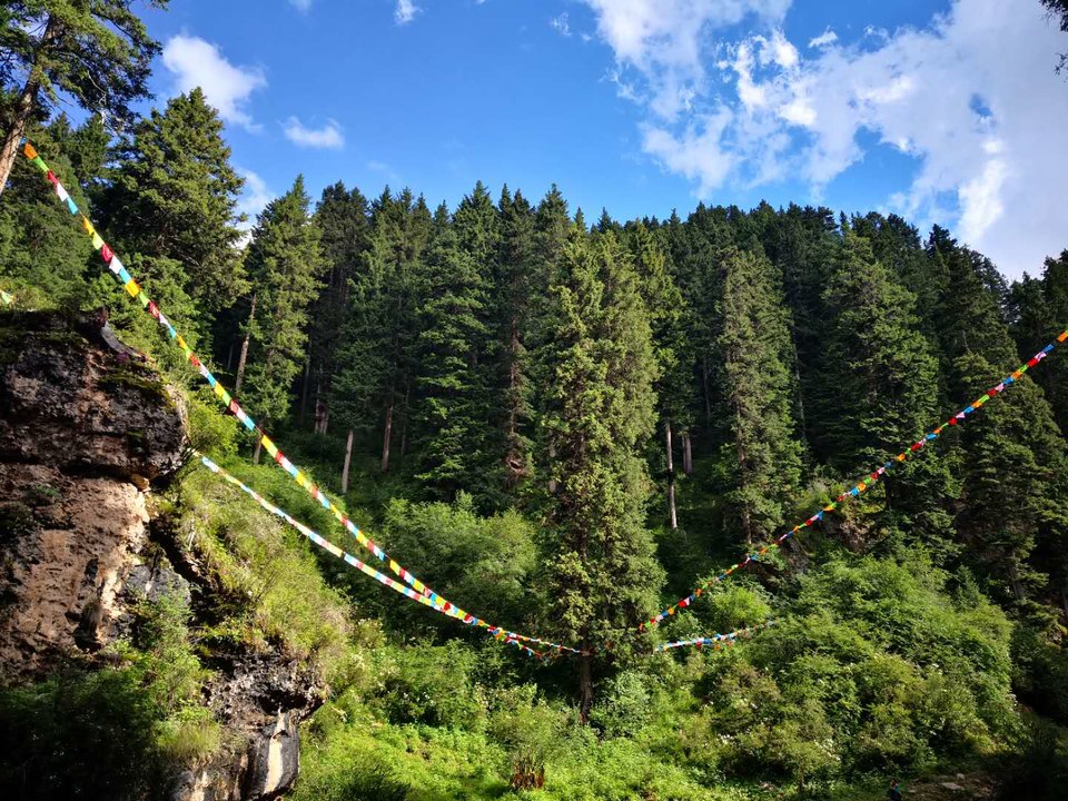 5emjuIzJFbZJ7ebXrsTr2mJ2QrgPBgenVTXSNhzODwAU-HgyITlHfefZJQKgIIbX