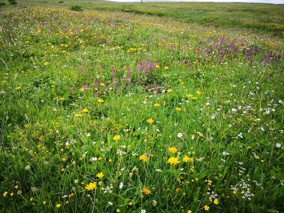 eVsdvYp3jDnDaZYv-pi8NXMJPz9VZ7p6cuLoTnfDdMR9wu94xXpJCzPzaKST0y1D