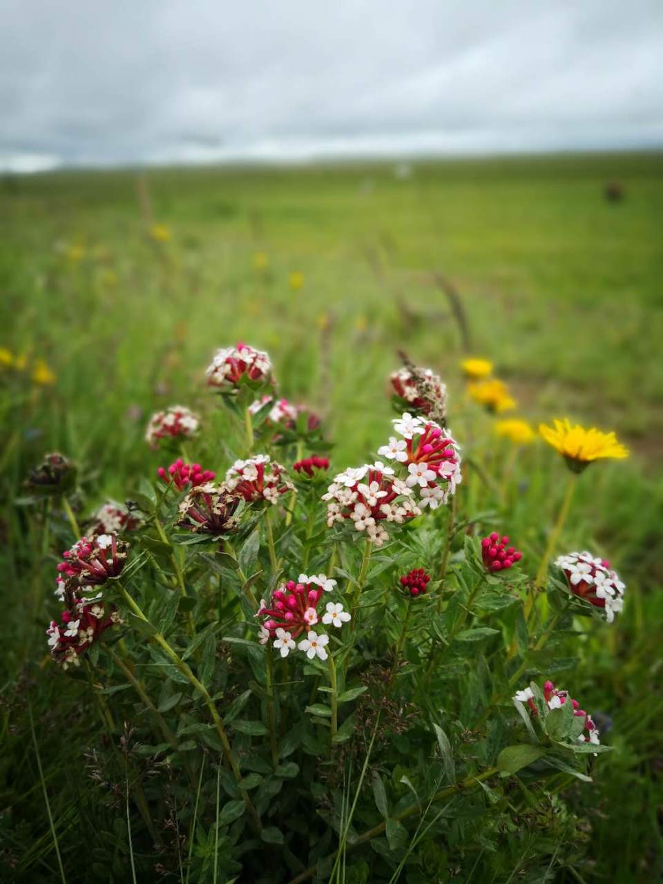 wKo_gpnI69jU3PCai18XD7H_CTu-iT0useYiczMymEfvrzeE0a8IzdEX47a6IB0U