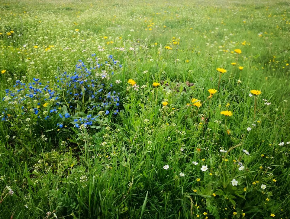 fZt0ajCXYN5edqO6cEcqti5mwCe62w0VBAE8S8l-yE946dYPkeUOTxzceZRtWOUP