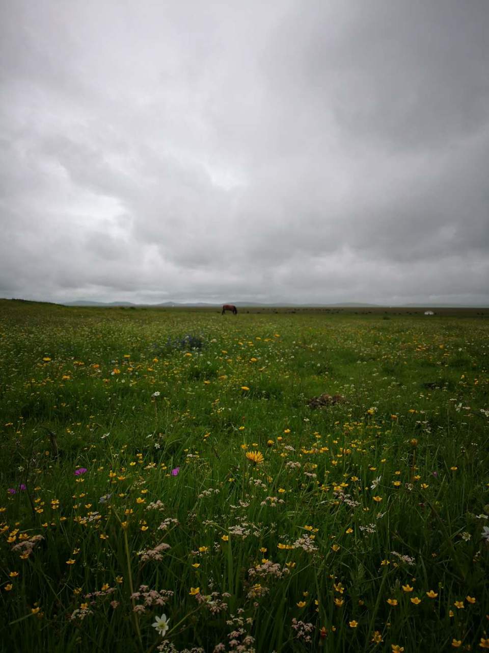 lHq7Ku3VPZBftIIoxo-j5HZ10ezvtSQtBeywhMy3zMCRrG5C4Vask7VeAdk1DE0Z