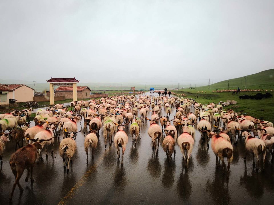 jVIpxC3neGb6KGUqbueQj_6yB_pp-P2UzoS0jhP7l6vjhaPQwbTaipNt_L9WZcDD