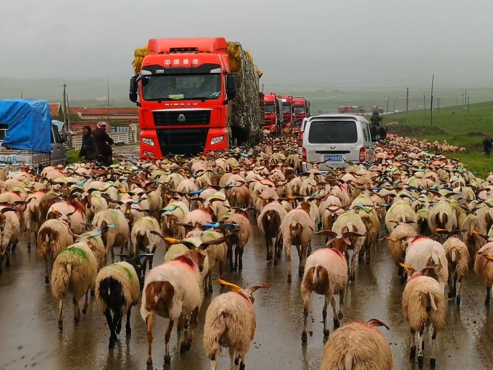 UH2Qm2HISzEknNs_gR7Xy_elAmNbI3Sgxyzh0cBcHchw57k6OX_WGtFkzym_4QKo