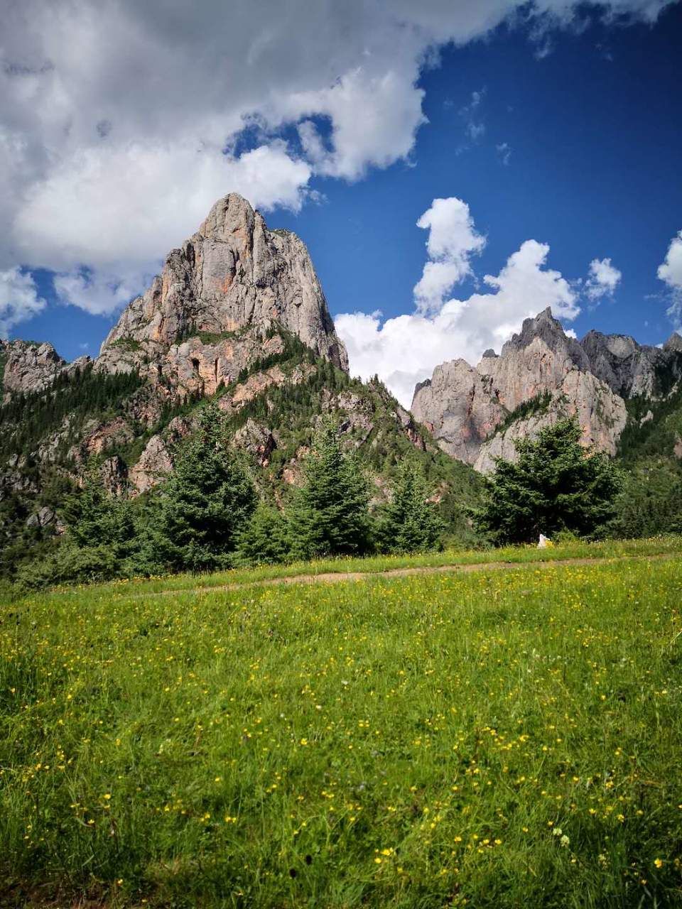 0rKuZwWVgv0EcvYLm5YUh2p-Lyu8o6Vm87P7Og_ht9ecITB5evfWhG8GV0YxUc2p