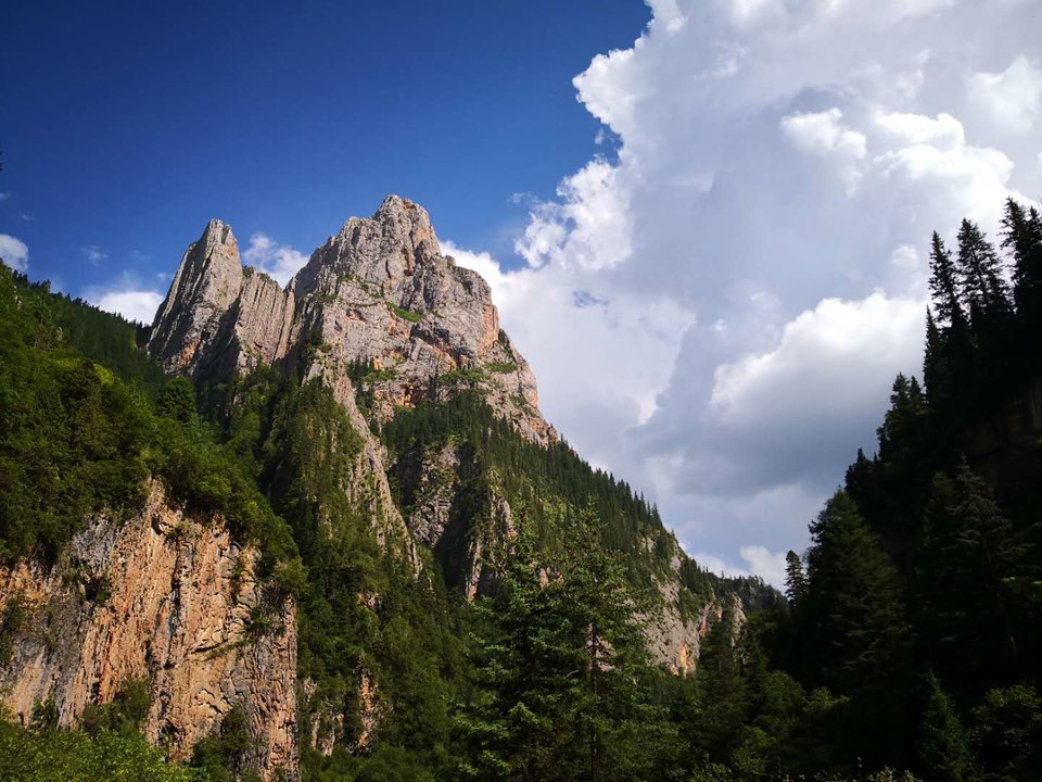 o06mKK7Bwwv_GruNR8UxzAh7xI_XxedRB6BKsDeLwcFH4AssTz3VbipOA6cjEjVj