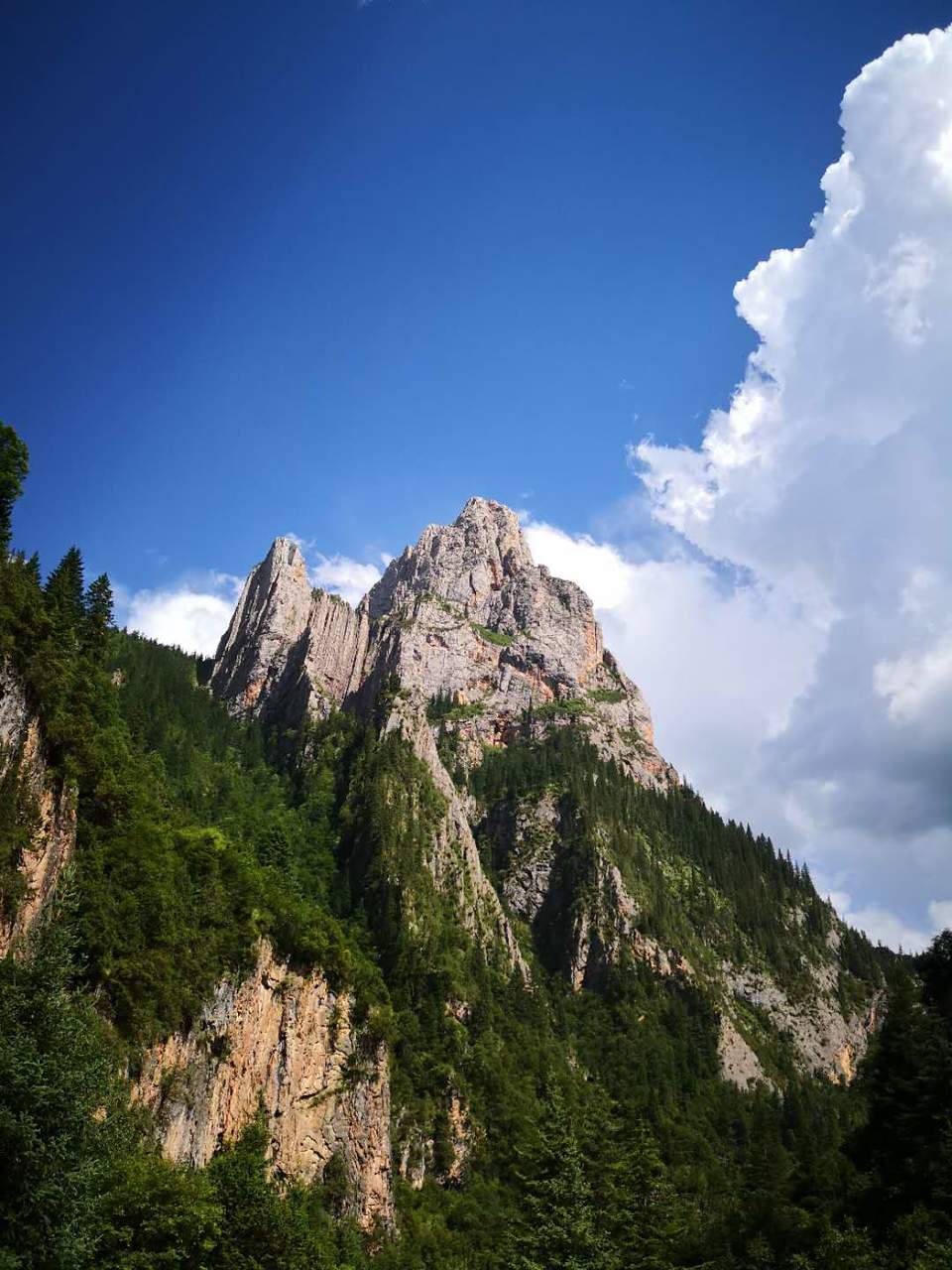 GVnYSlU13RZopYrL5EDAdl9xRfU3lTpAN1WYBenXrAGuizJpyz46h4FNfem-1XgW